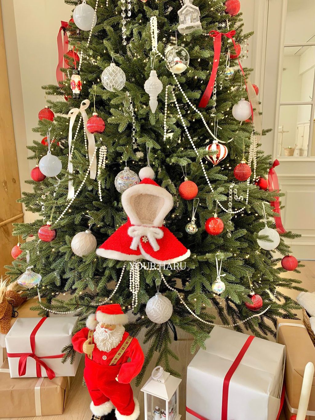 image_30DBABD5-21A2-403F-BB7B-389B6AFCEA18_1763042310