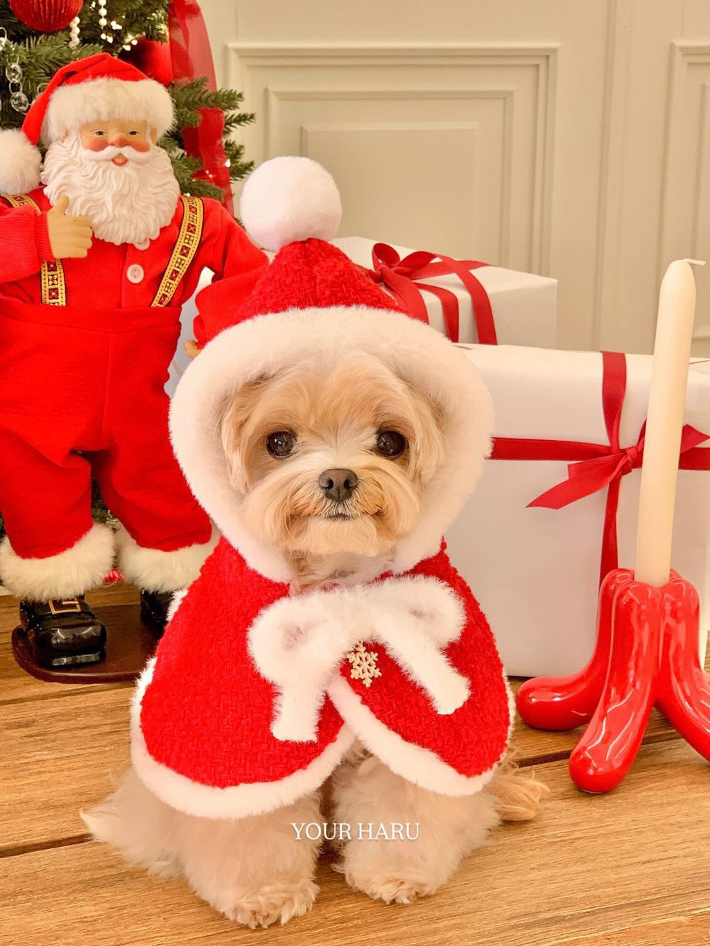 image_7DE46577-07DD-4CFB-A3FD-0E1C31E9F9D1_1763042310