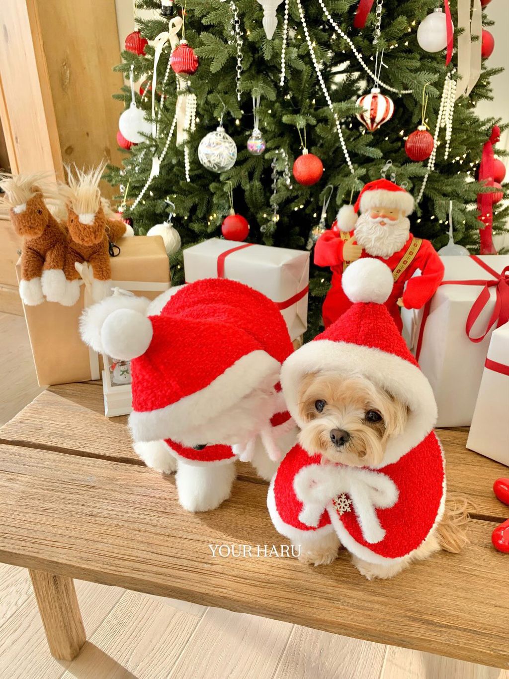 image_53E9D5B5-B932-4020-8E9B-2BB4CA257826_1763042311