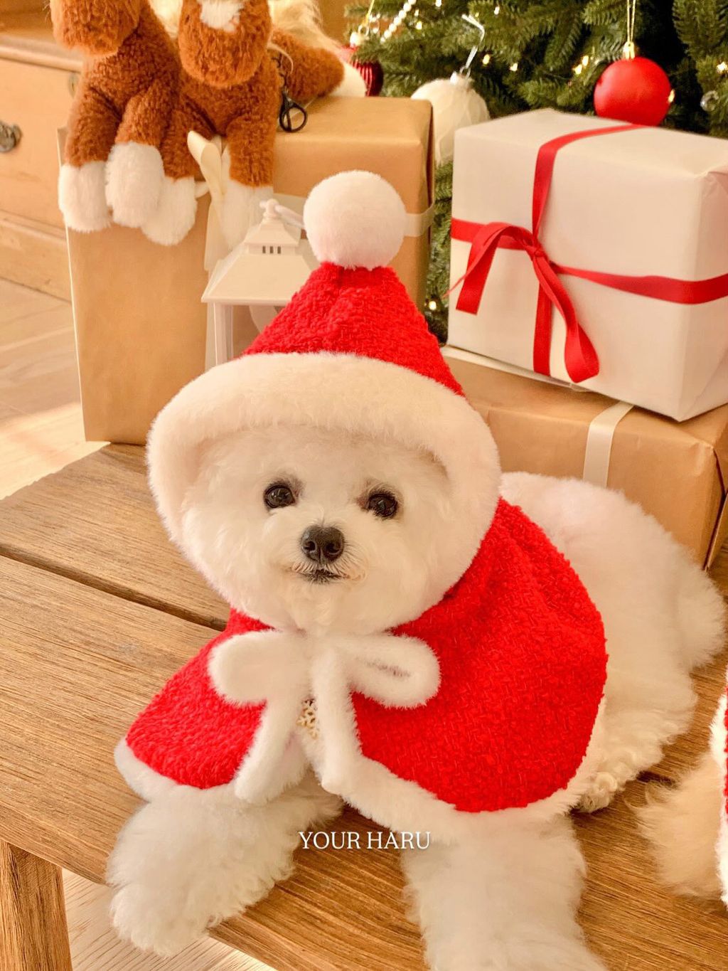 image_2BFB1D2C-7654-416C-88A4-F5B343A8262C_1763042311