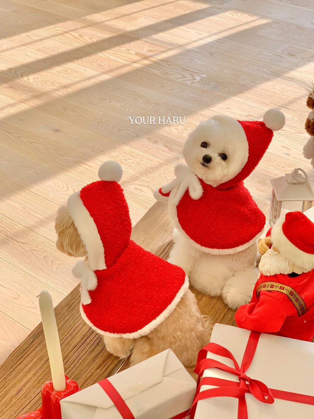 image_F675B6E0-688F-4D13-ADD2-FE4DB43FFD62_1763042311