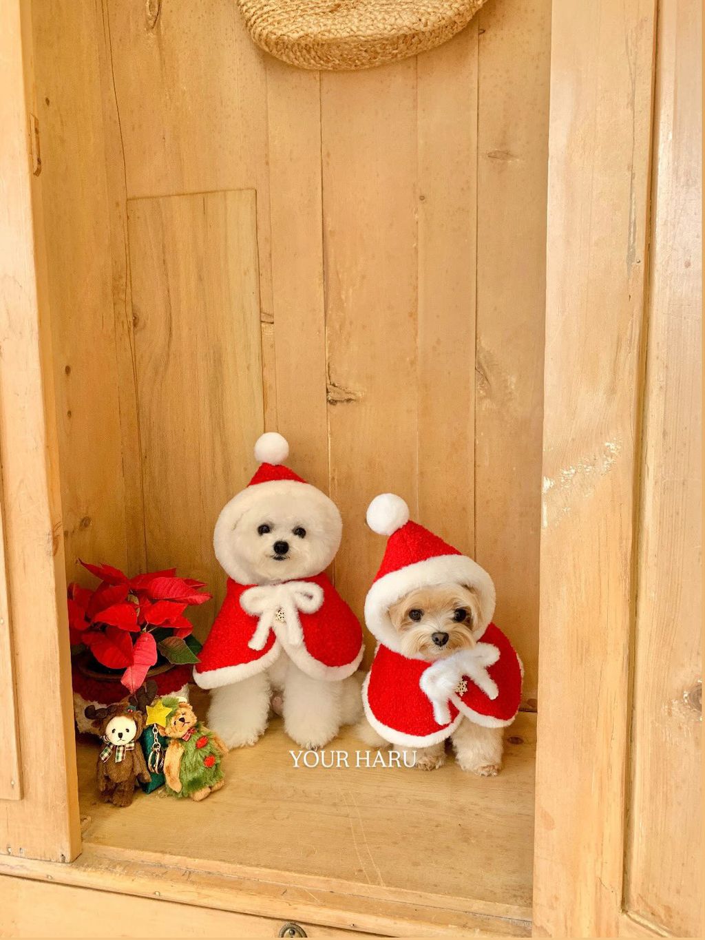 image_B2D1B244-5171-452E-B021-DCACBD7ADA3E_1763042311