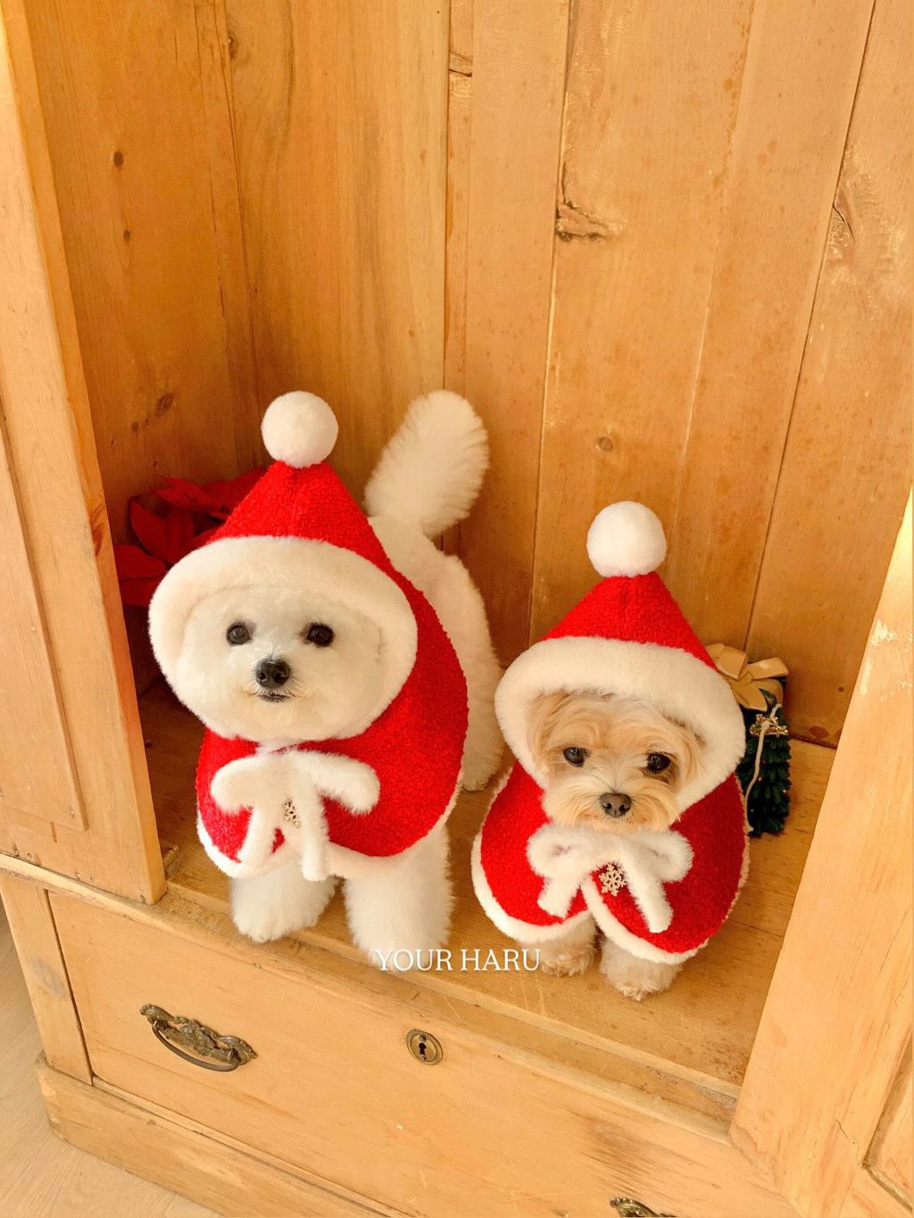 image_B0B976C6-3FFB-4034-8407-B6065649B311_1763042311