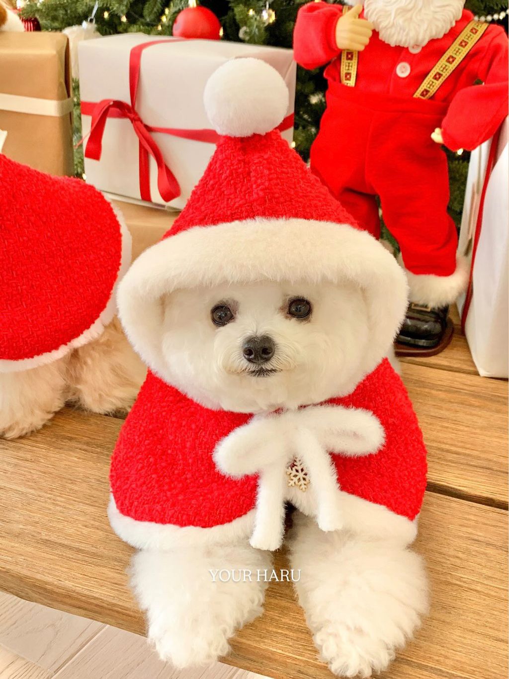 image_BDE18D81-141B-4619-830E-2C37D29D38C3_1763042311