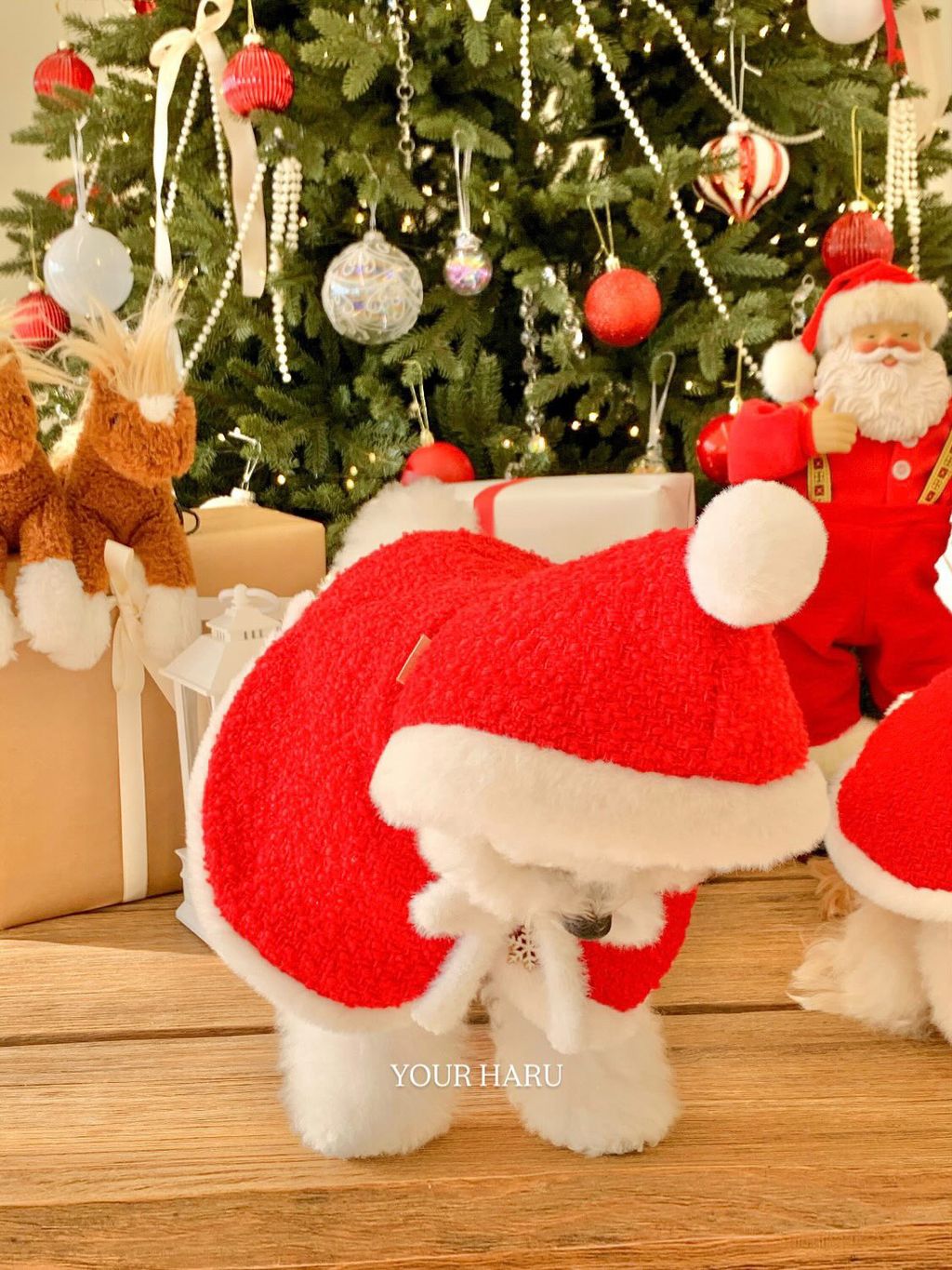 image_0FE4431A-862A-4CF2-9AF6-EE59369C5FF9_1763042311