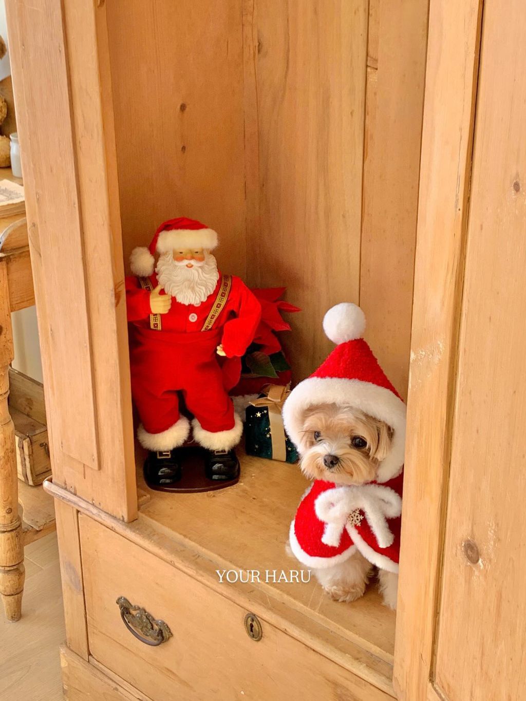 image_09C9F7E4-39FB-4D95-A5C8-B4DB0E01C1E3_1763042311