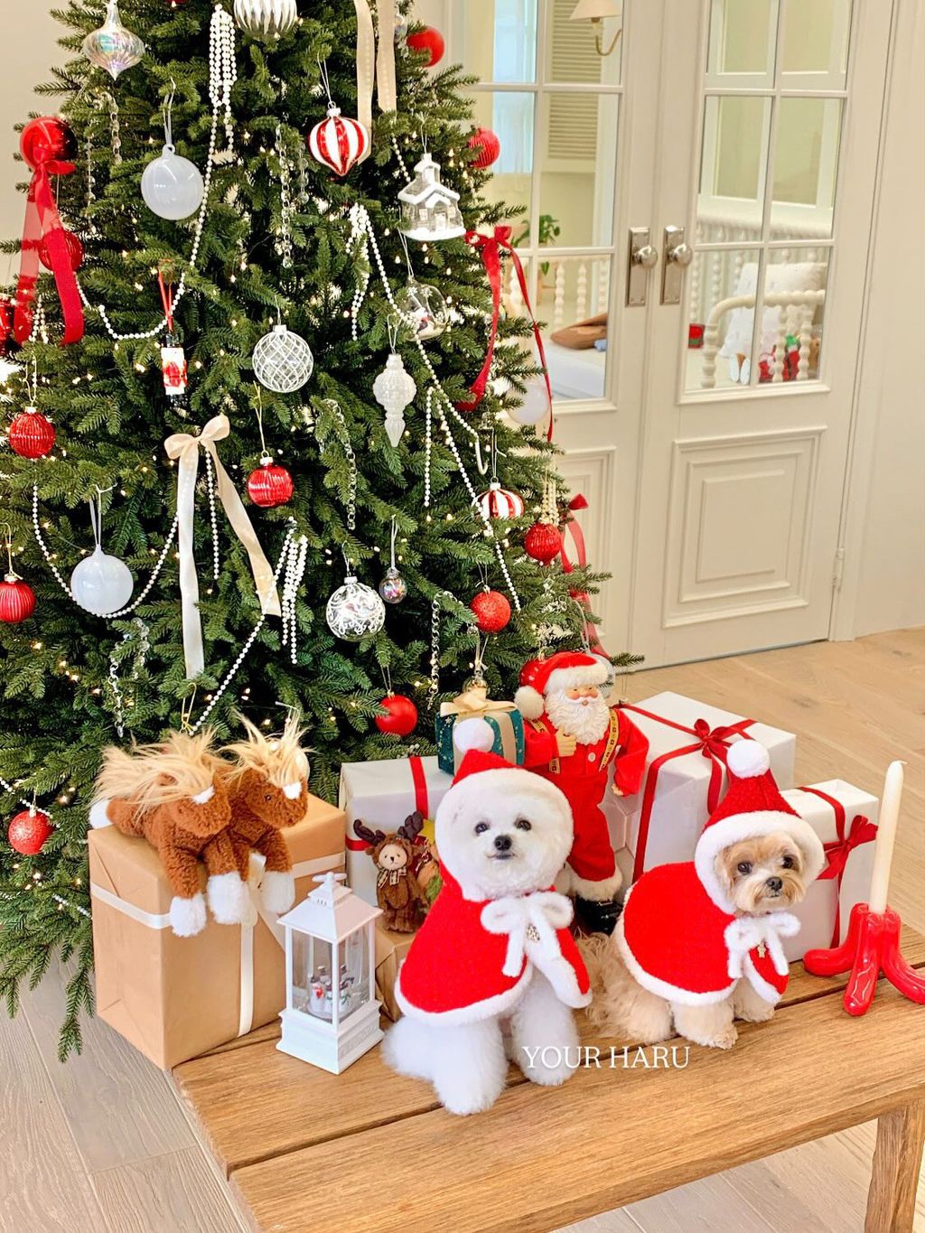 image_547DE6A8-7948-4B35-A69F-AEB5FC8FC34E_1763042311