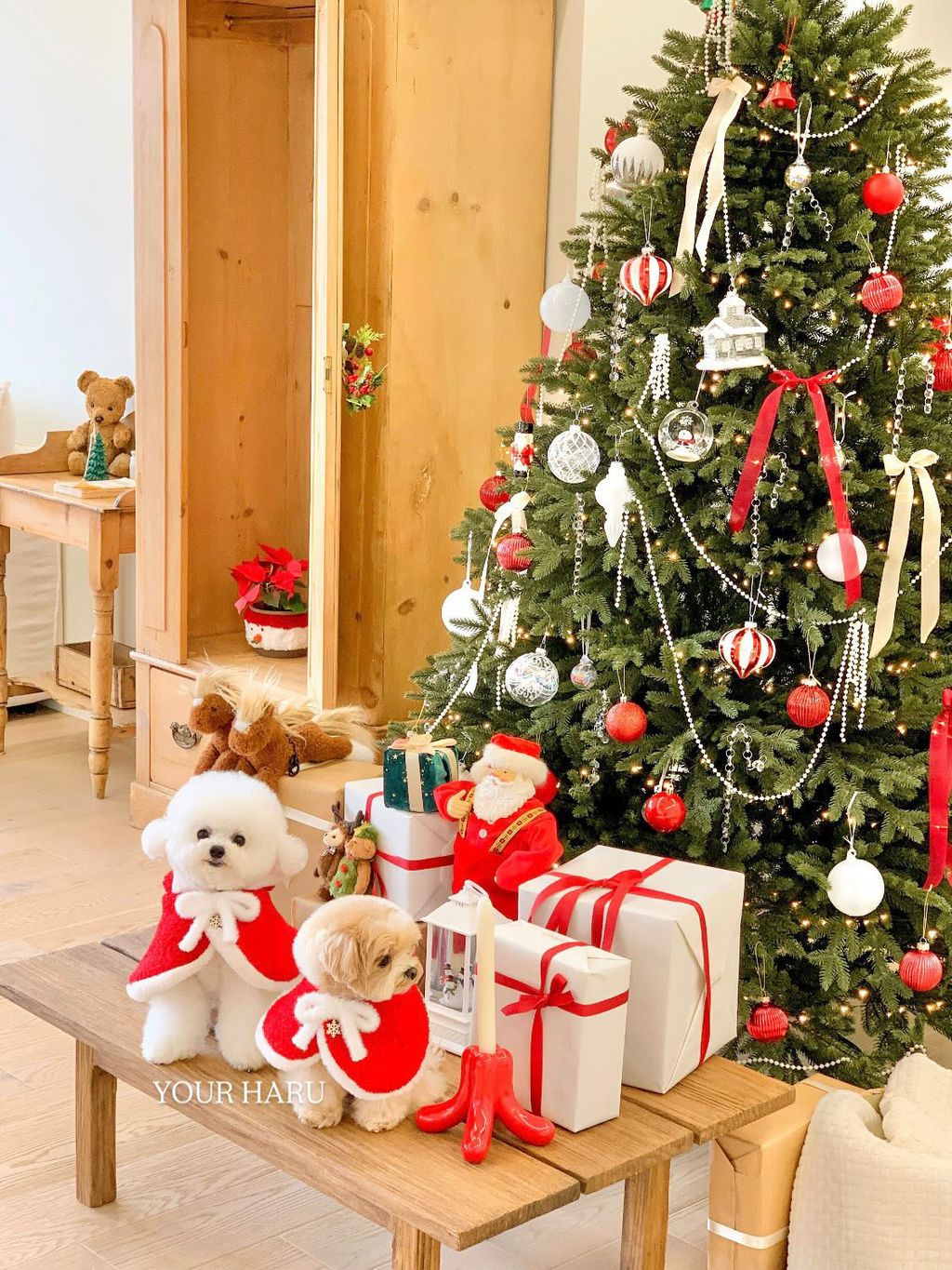 image_BF0FBB4F-158F-45C3-B183-840D863EAEB7_1763042311