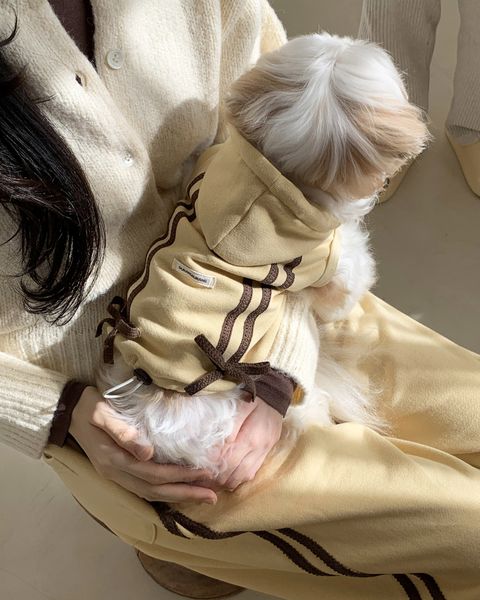 image_146F3A20-36CB-40CC-8F10-4234BCA21F44_1762843896