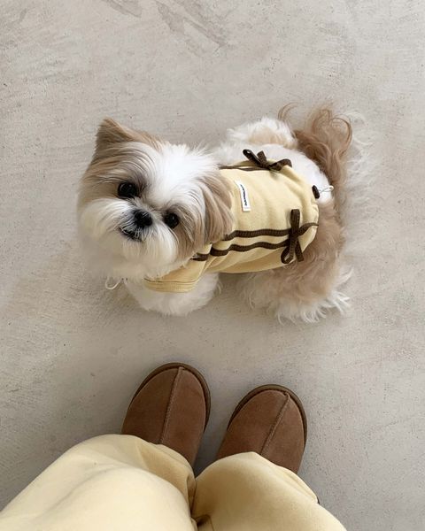 image_291ED3EE-6376-4DB6-8628-EC9A2B0B45EE_1762843896