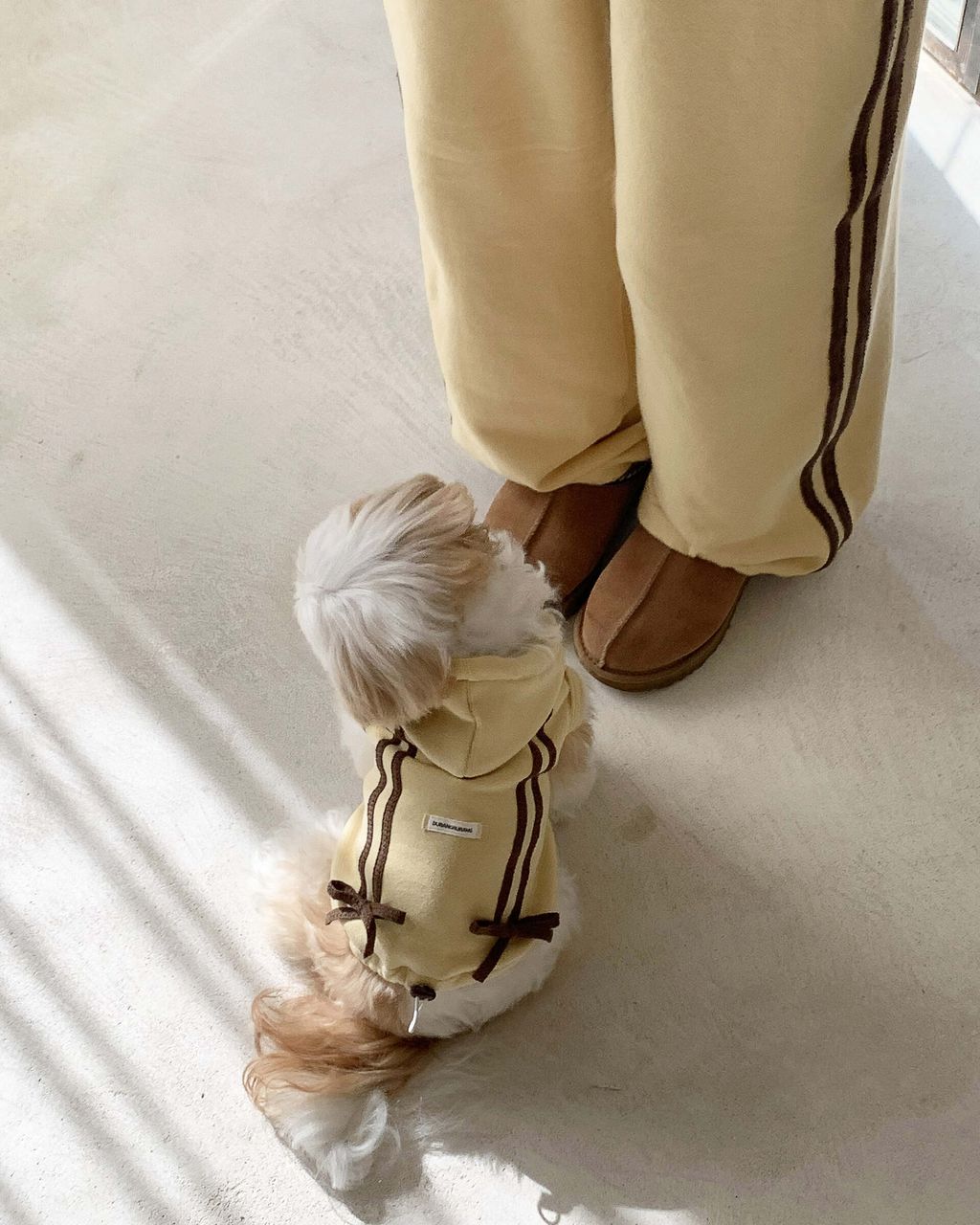 image_FCD0AB23-B150-49B9-B87D-A91D17991634_1762843896