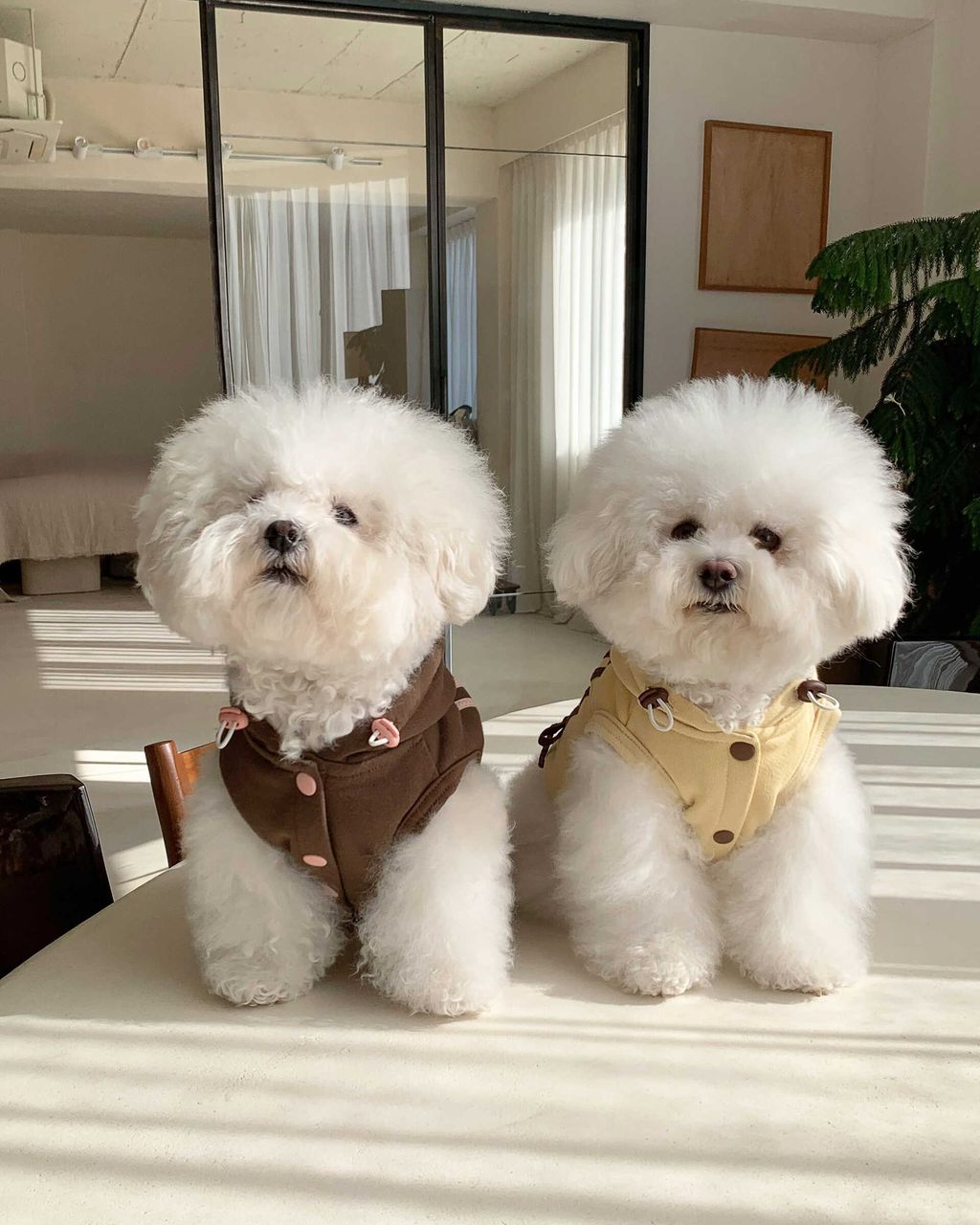 image_7B261C46-E008-4F55-9940-AC624453803A_1762843896