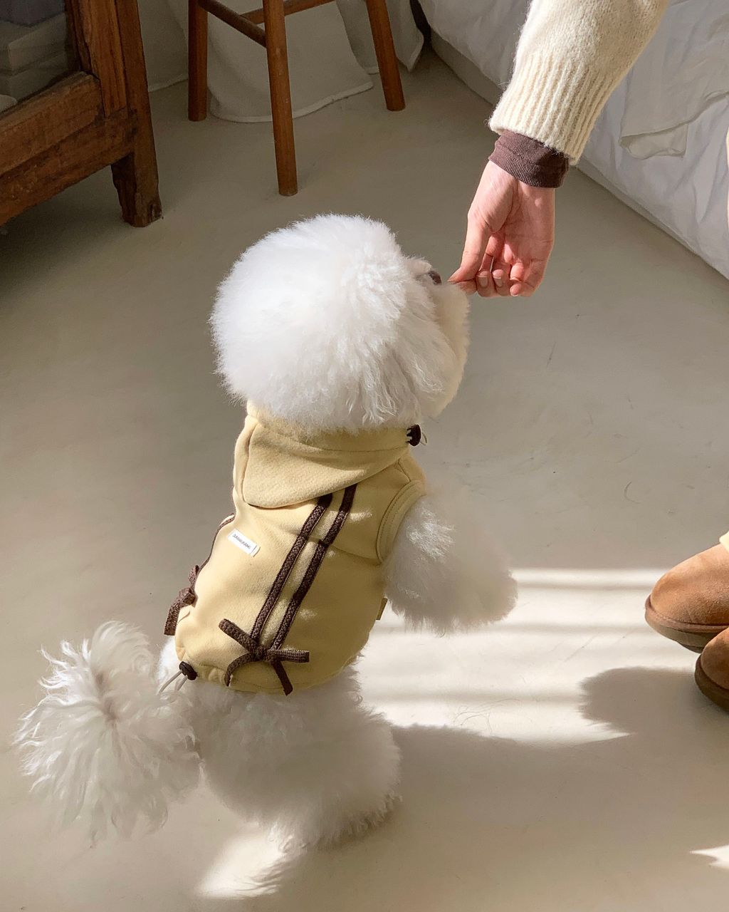 image_C01F8169-B5CC-4E34-9DAA-4854CD4ADB93_1762843896