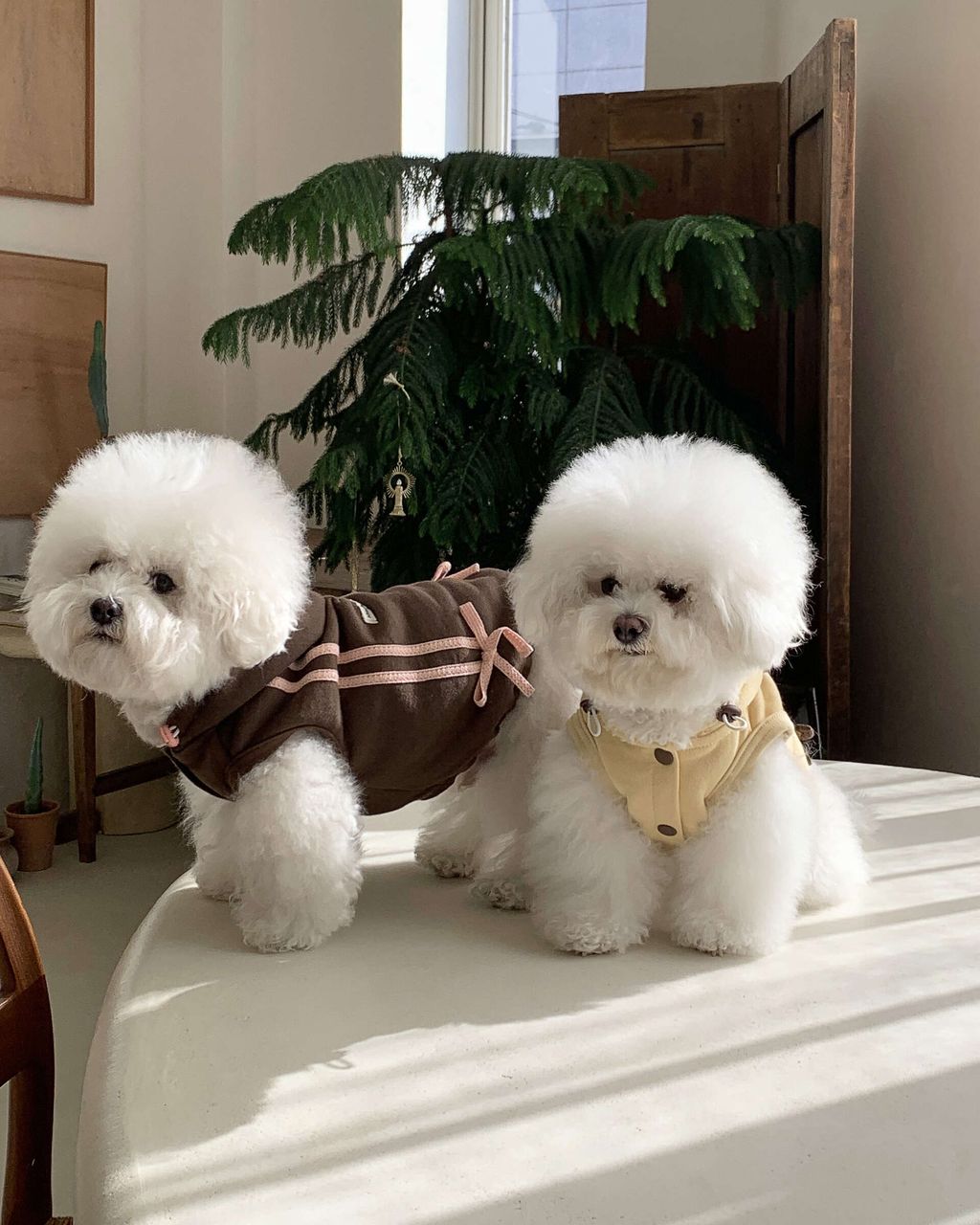 image_FC544E64-41D1-424D-B858-E31C306E59D2_1762843896