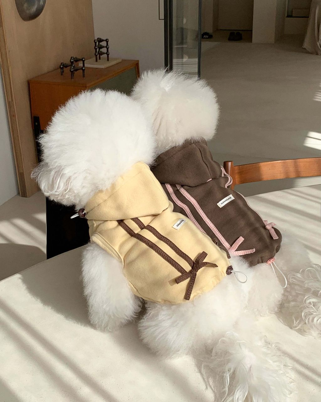 image_56B2B5E2-0262-47B4-BBCF-D96201376460_1762843896