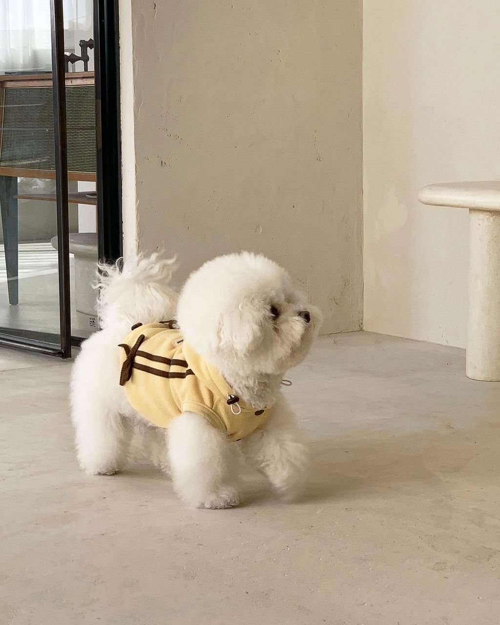 image_FA3F2219-E1C9-49FC-999F-E4721AE0EAAE_1762843896