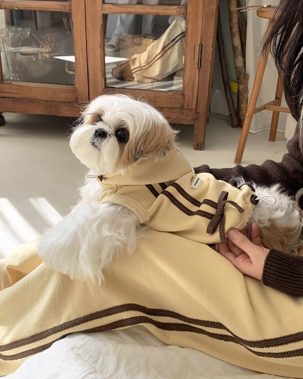 image_D81D6F71-354F-411C-A4FD-6E42A29DFC14_1762843896