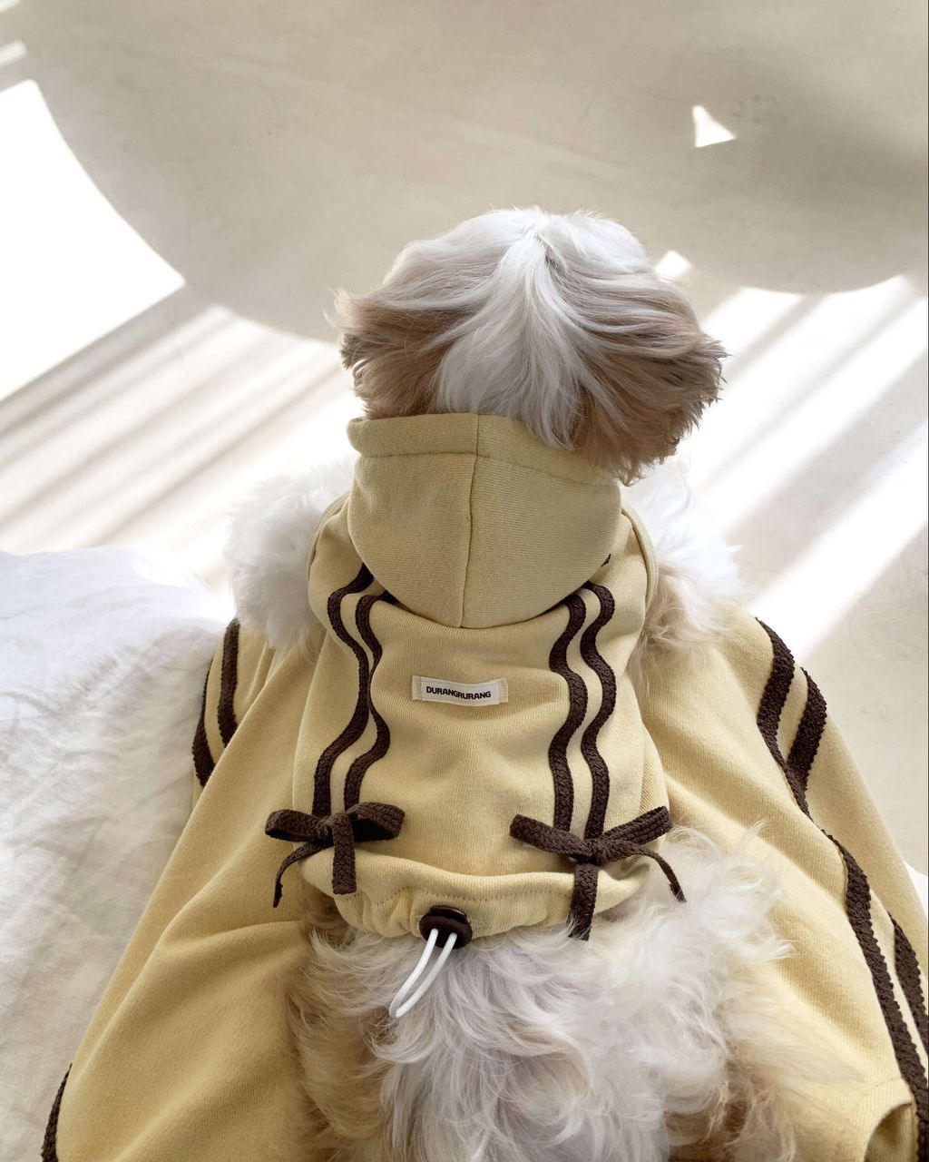 image_91E7EB7A-BDDD-4B4C-919C-98BD0BFB92B8_1762843896