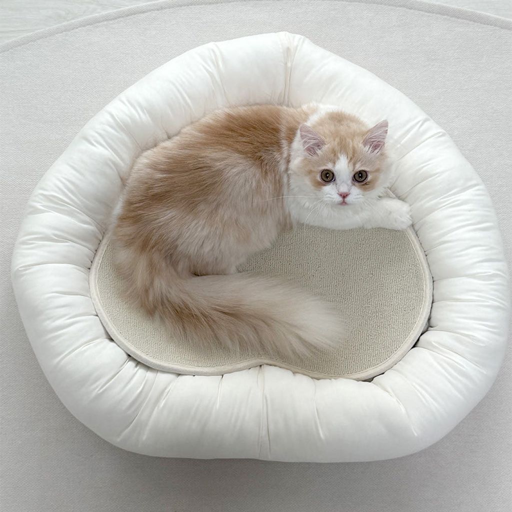 image_FDCD9408-0D76-4AC3-AA93-0DD6DD83D27F_1763148770