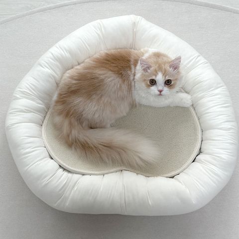 image_FDCD9408-0D76-4AC3-AA93-0DD6DD83D27F_1763148770