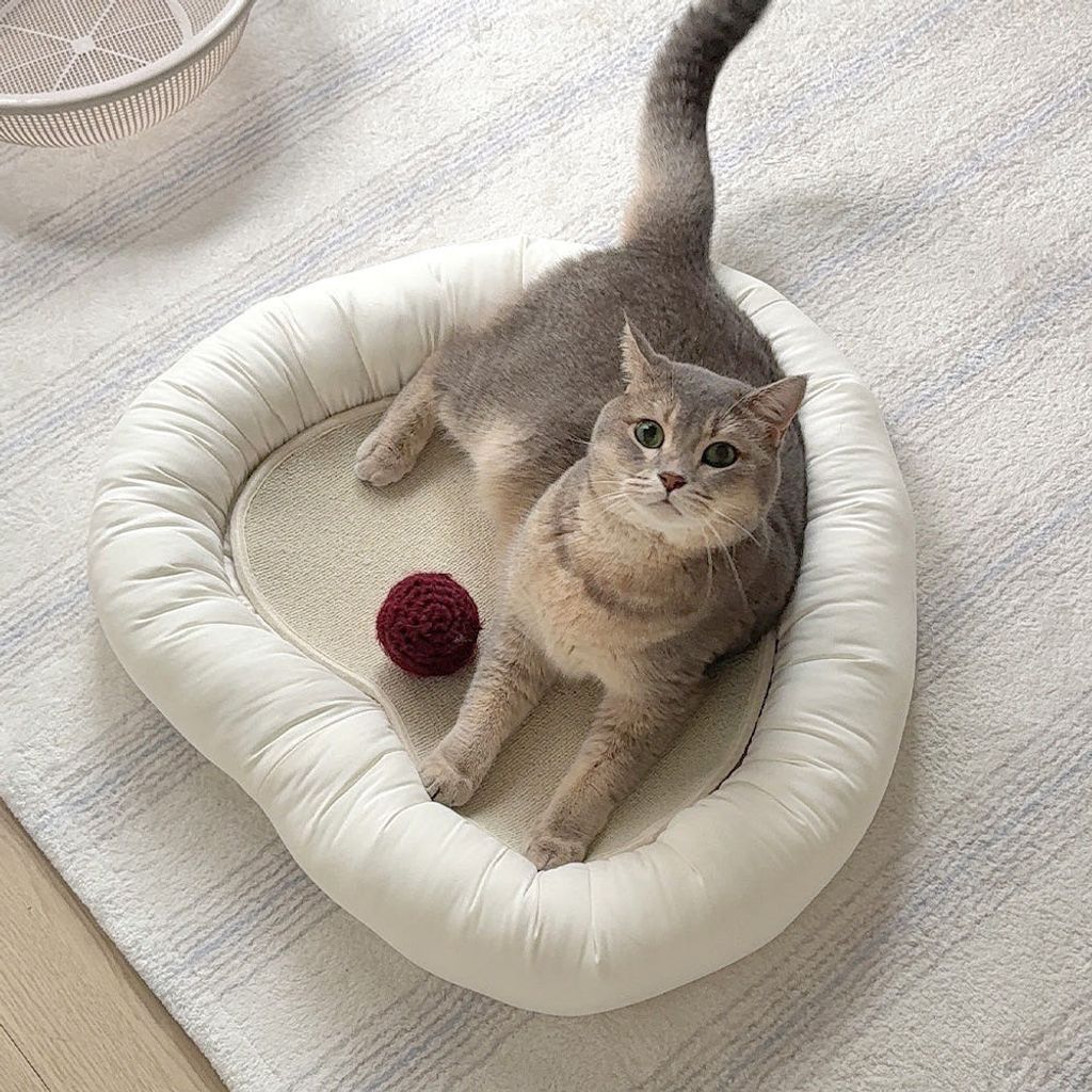 image_B864CD50-D918-473F-A4A9-A387034446AC_1763148770