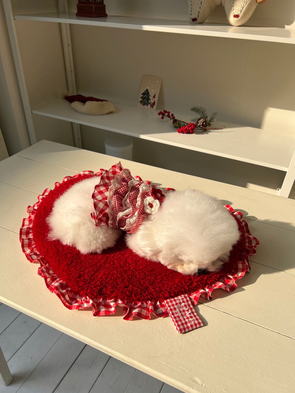 image_C9F941F0-66FC-4E00-B7F3-39B58EB923DC_1763903991