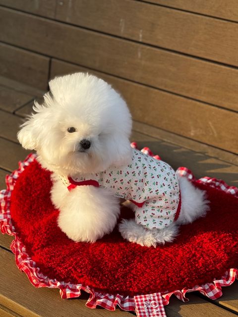 image_0E07FFFC-D61D-44E1-9BEC-96DBB3DDB5E9_1763903991