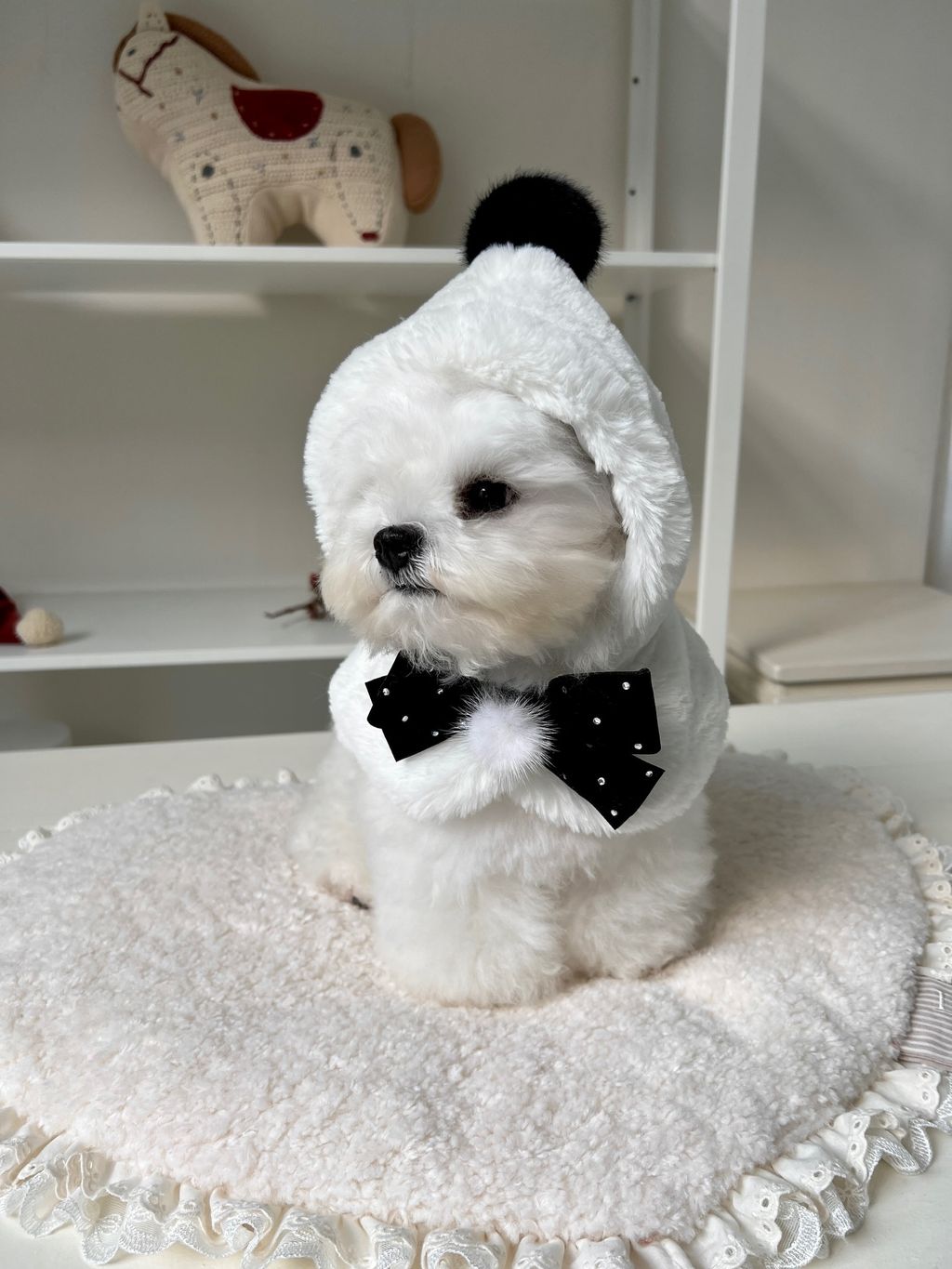 image_871FF2BA-7603-41F7-811C-1B731C1947E5_1763918195