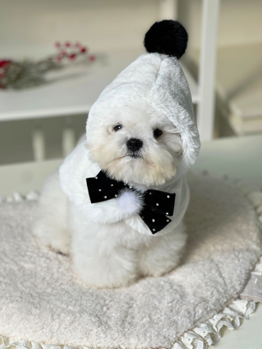 image_DFB4DCD4-ACE0-4A62-A9B7-A0B0160226B2_1763918195