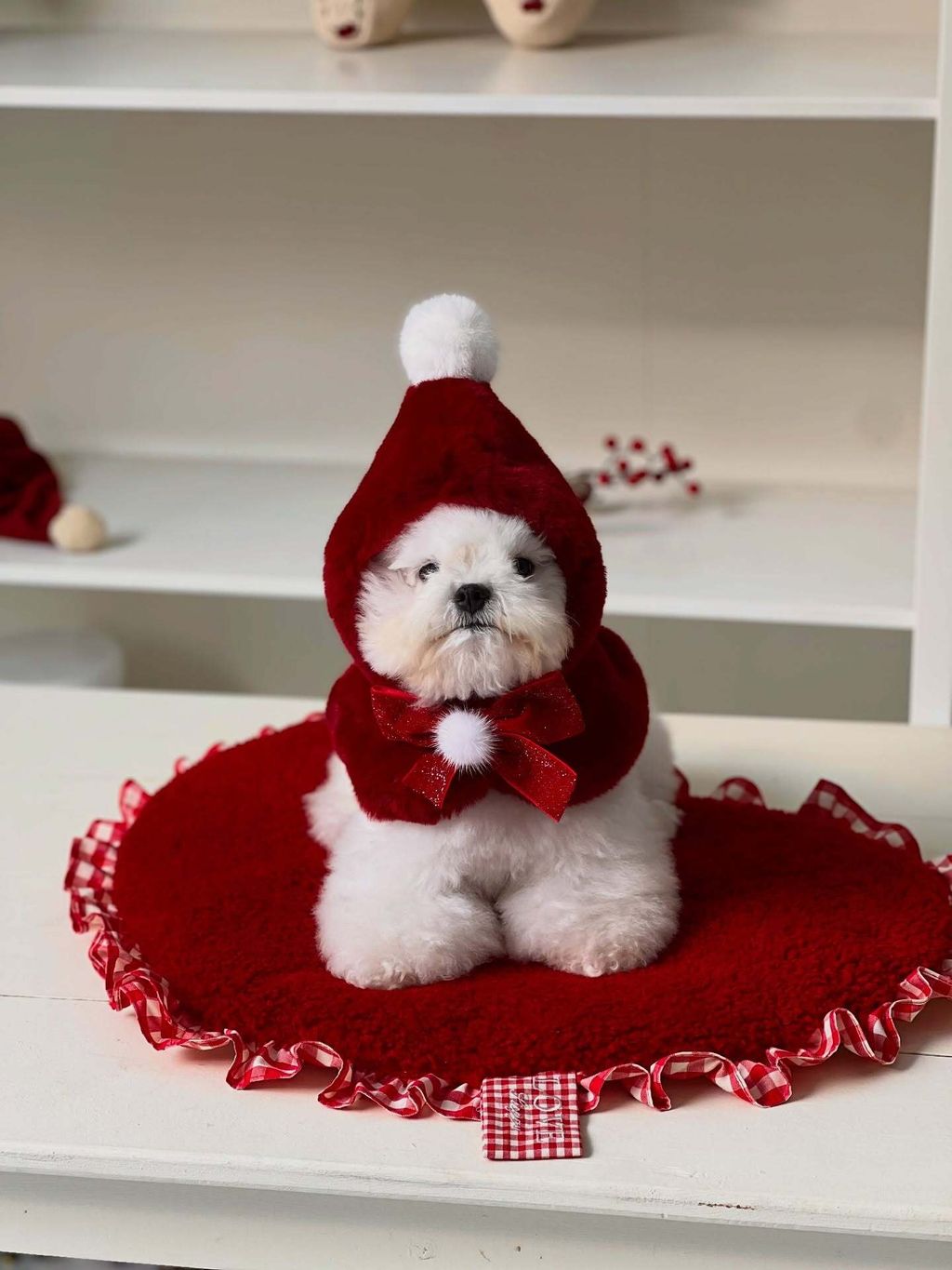 image_DC684EE6-31D7-4F77-80FF-B1B69A56B77D_1763918195