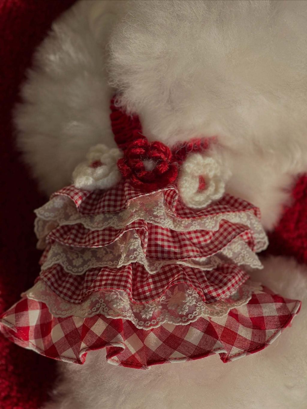 image_25D346A2-1C13-4821-A4F3-77A0692B15BA_1763924162