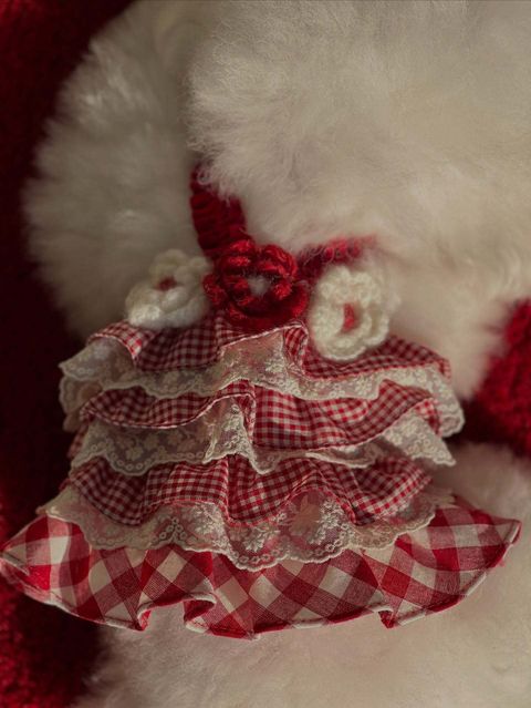 image_25D346A2-1C13-4821-A4F3-77A0692B15BA_1763924162