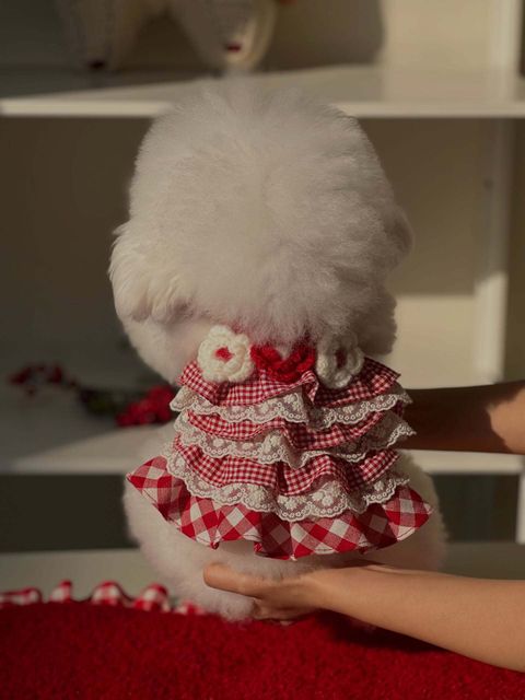 image_D91B158E-DD21-416F-B39D-81D399E9EE06_1763924162