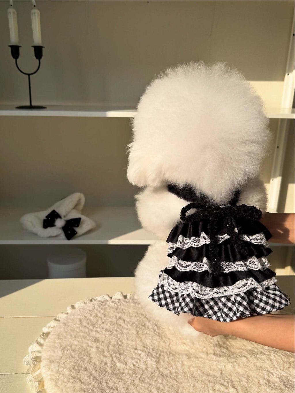 image_D456B935-E2D0-44D0-AD9F-1A15116E1C00_1763924162