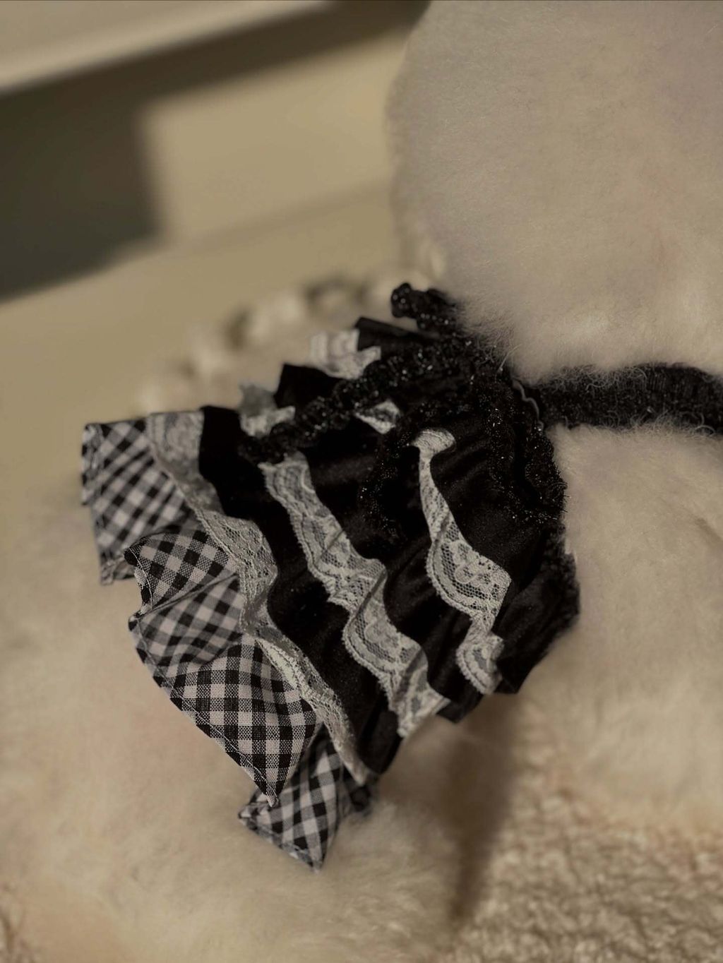 image_08878B1D-EEF1-4065-9C4A-EB726BB22B5B_1763924162