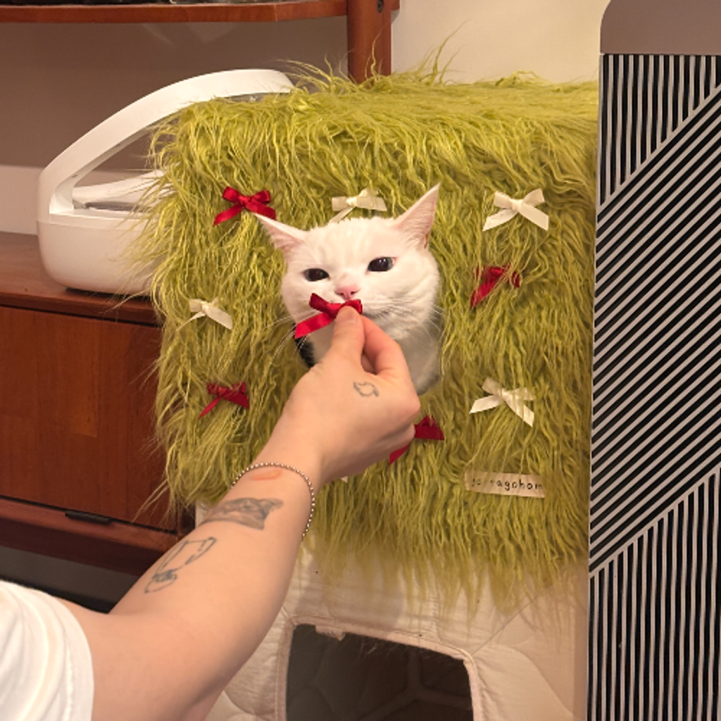 image_C97867A5-682F-47CB-AB22-C07BF5CB0663_1763988666