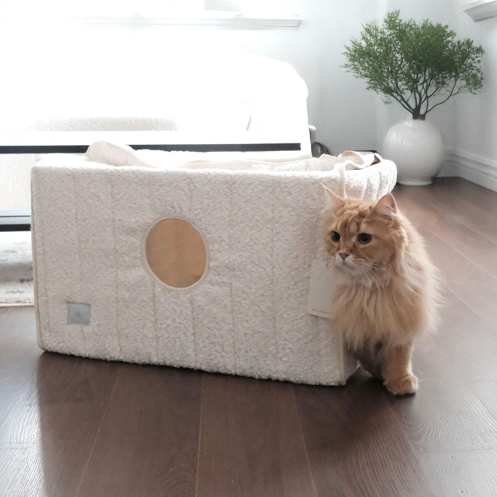 image_76AF172A-C130-4B88-AADF-C9FD7D7CAEF9_1764097682