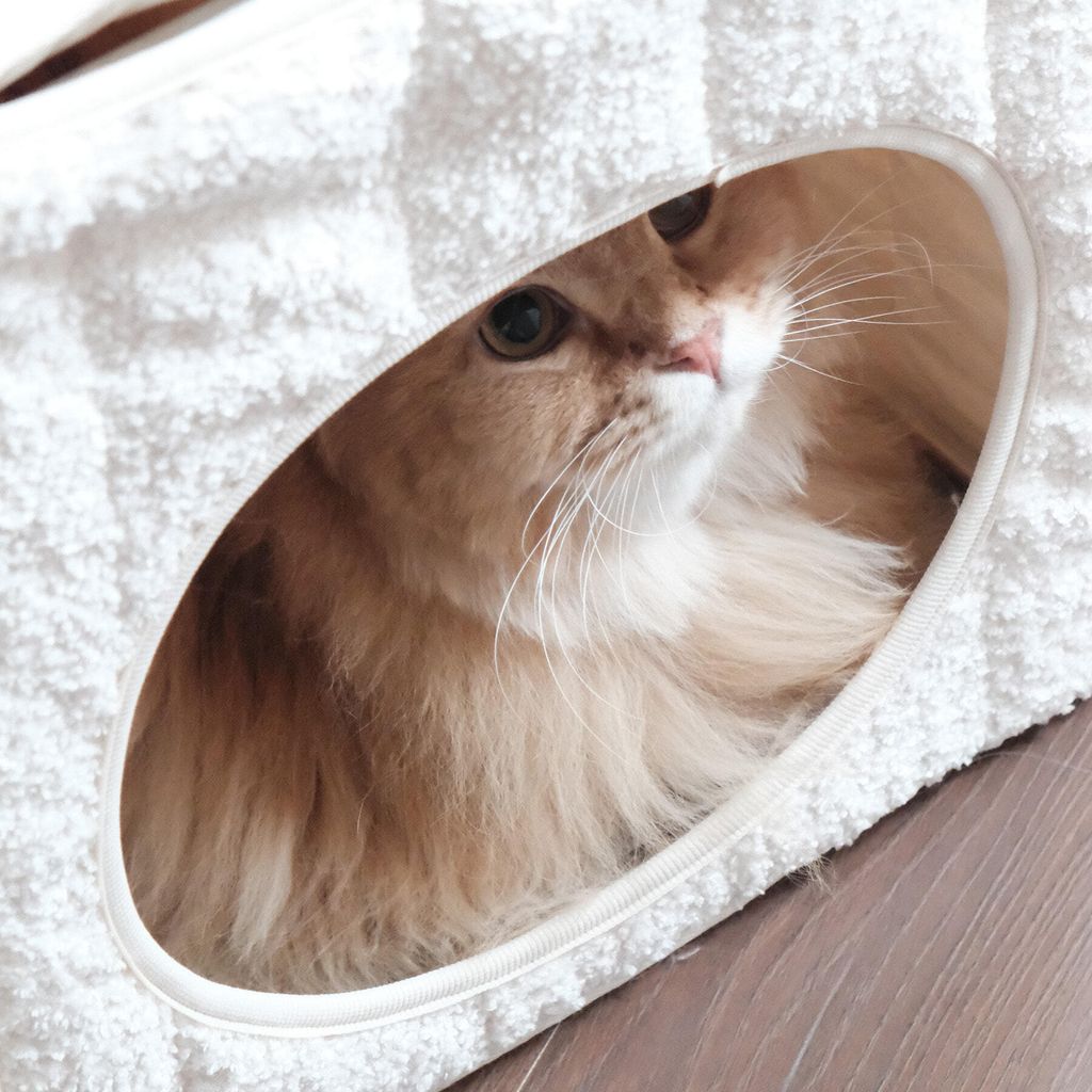 image_34574A03-38DD-4020-8F88-F23116BA90A3_1764097682