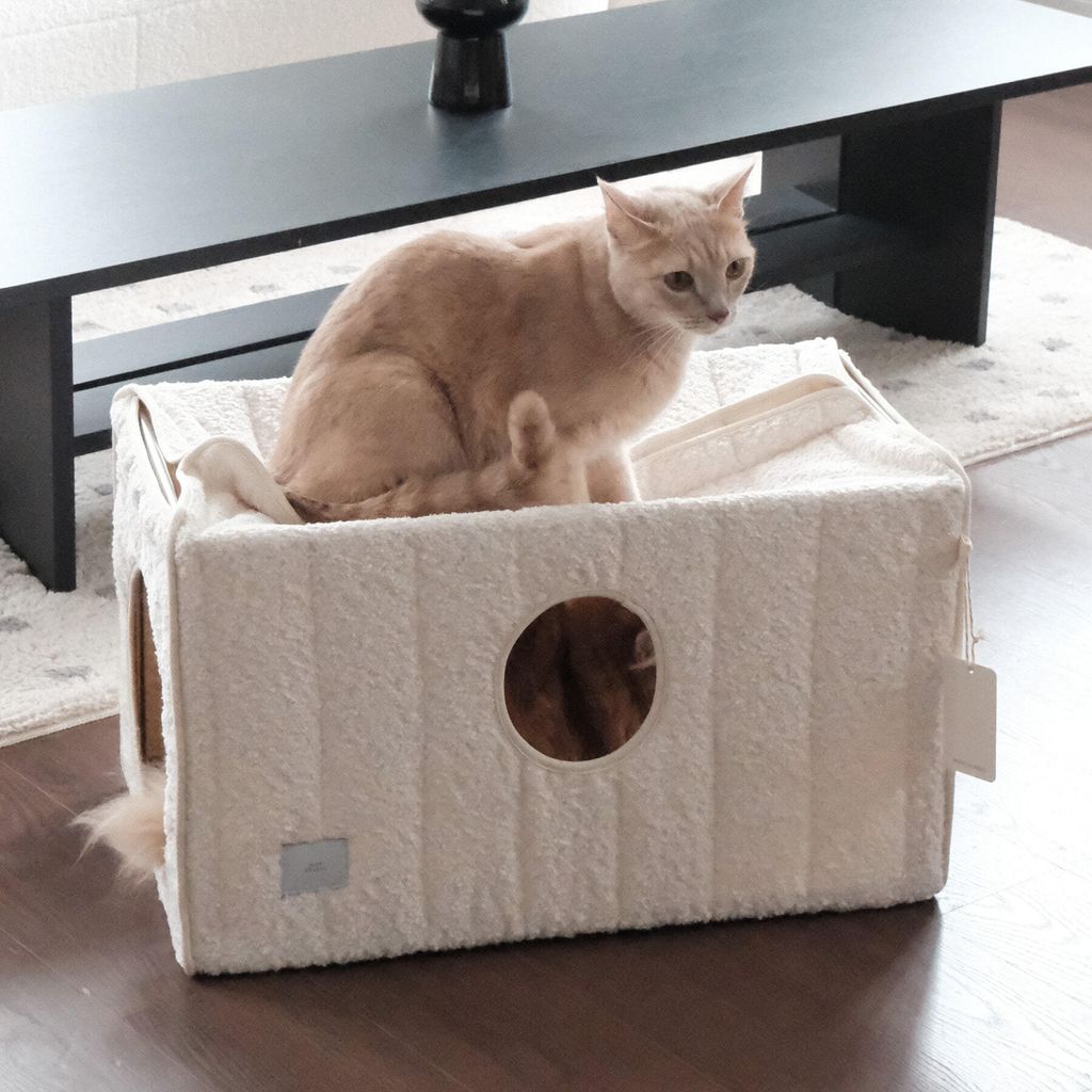 image_D427AF92-2248-4719-B5A8-4347843DA365_1764097682