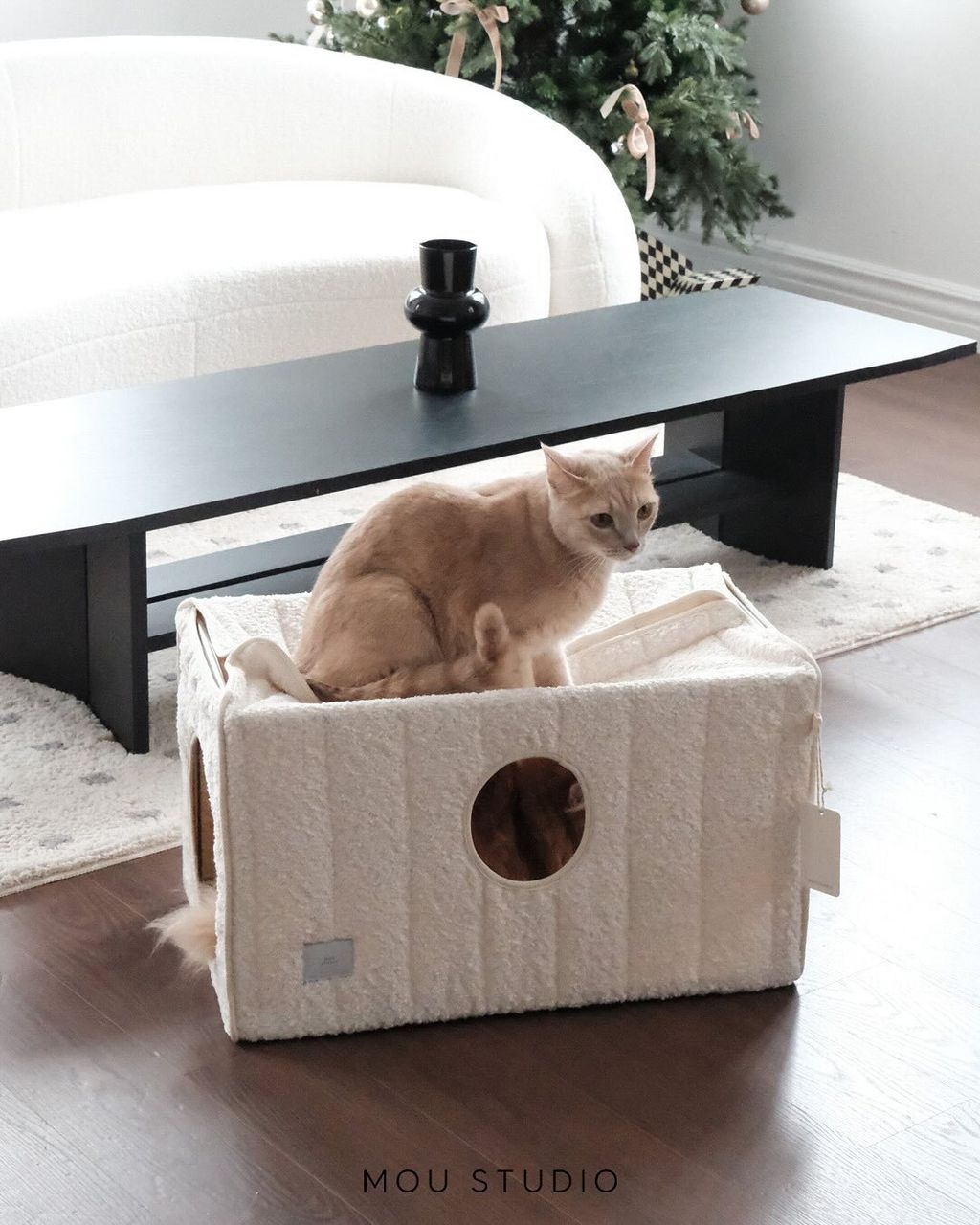 image_B40A2497-C6C5-4604-84A0-EB46BF5E56E6_1764098010