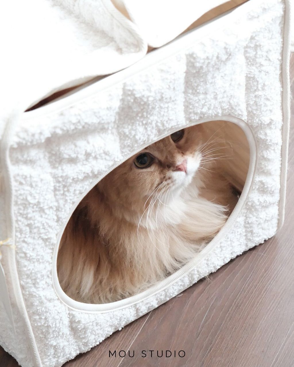 image_9B89E074-623F-4432-B9CF-BC0D2E7C67AE_1764098010