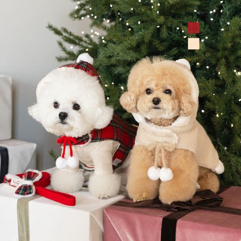 image_C9D6A708-34F6-4BD5-8C50-A9FC804FCE7D_1764142110