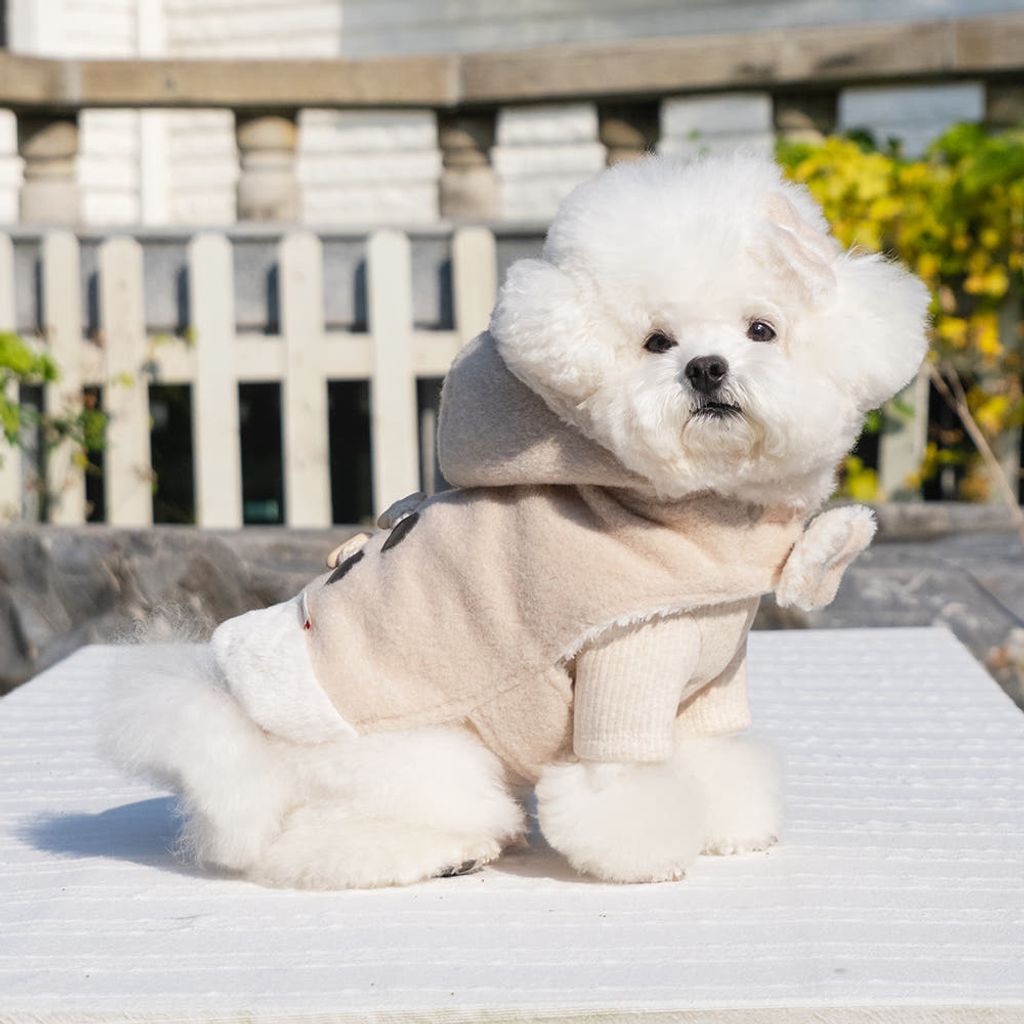 image_D9729BAC-5F2E-4483-BBAC-7851F643907D_1764142110