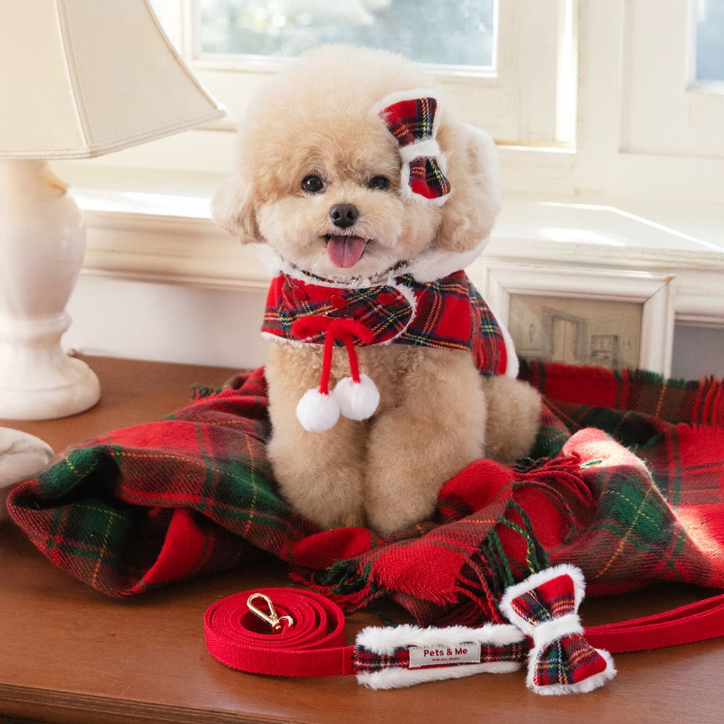 image_5D05A768-AE83-4BB1-BAFA-DE9DFD33644C_1764142110