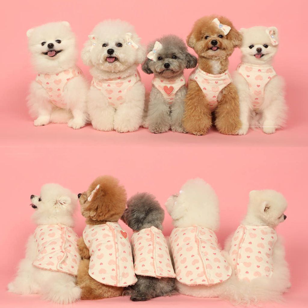 image_7748013C-085A-41E0-AF8F-CA5A18A220CC_1762884784