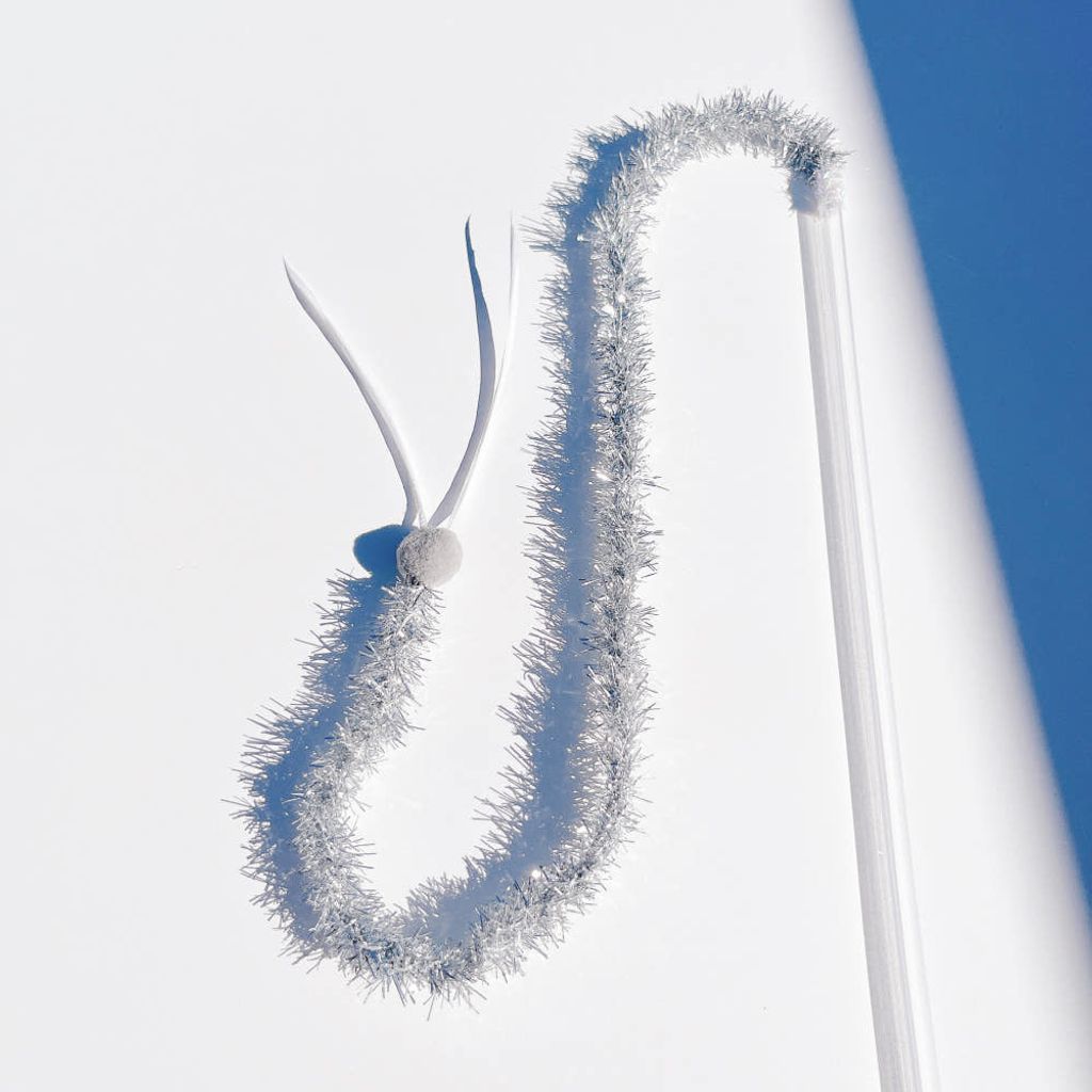 image_27B5506B-C894-4EAA-BC2E-AC5353ADE920_1764149960