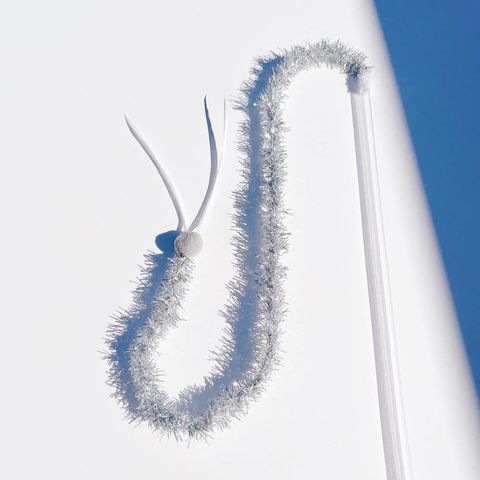 image_27B5506B-C894-4EAA-BC2E-AC5353ADE920_1764149960