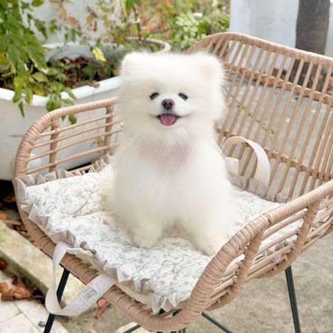 image_6EAC3441-C3A3-4959-B38E-B1C5E19E99F4_1764150900