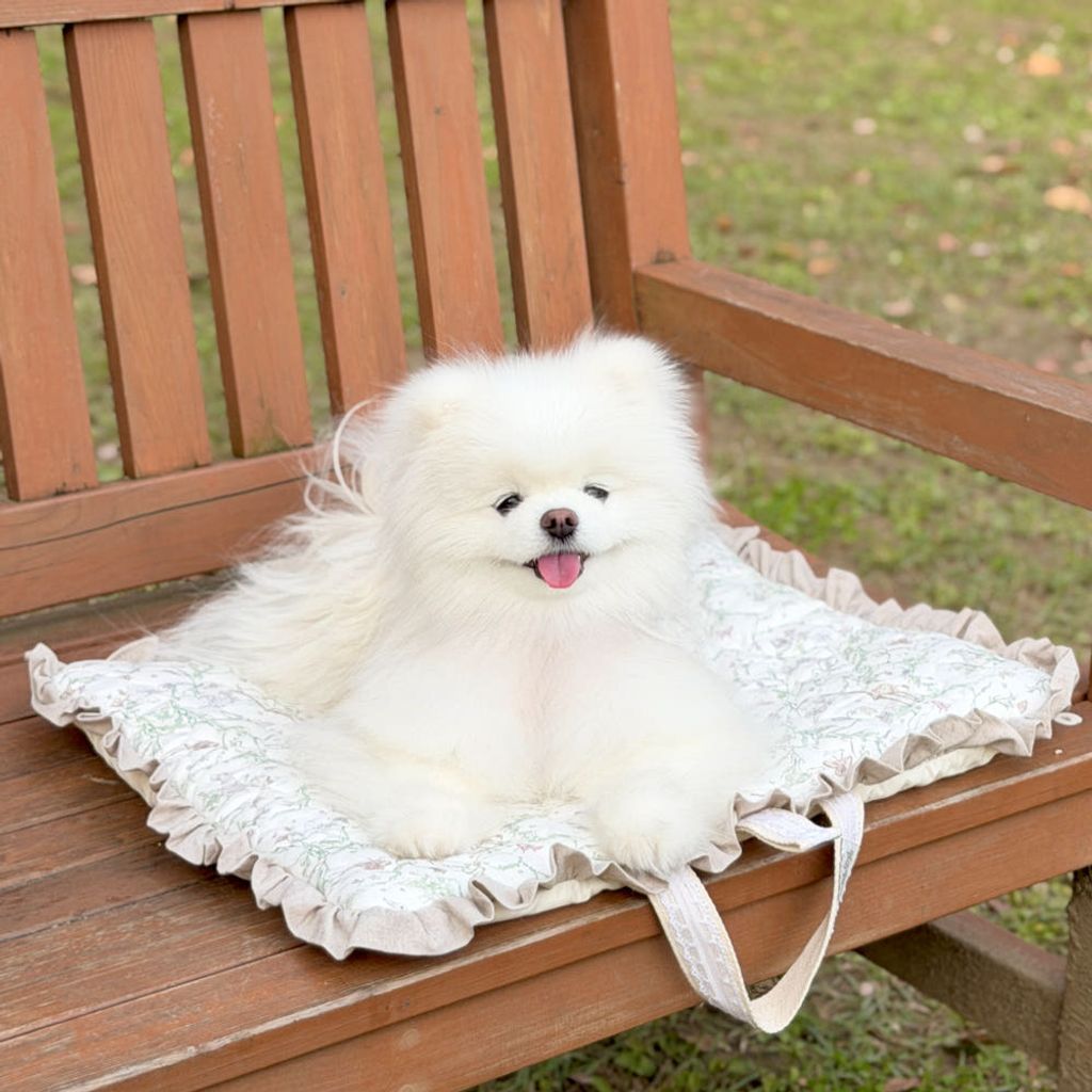 image_9E5A9A7E-7013-46F0-9568-F20DF2ED0DCF_1764150900