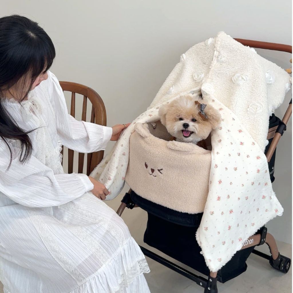 image_C747AA05-6587-412F-B919-28A483C62203_1764661571